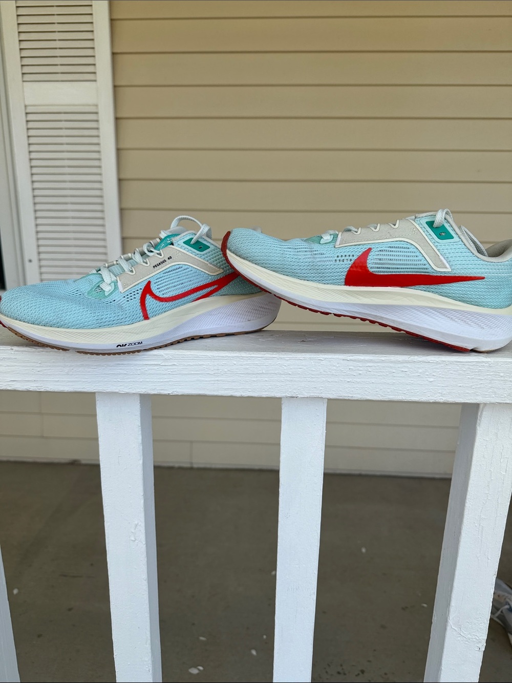 Nike EUC Pegasus 40 Retro Coloway LTD W8